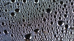 Abstract black white bubbles