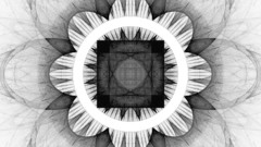 Abstract black white Flowers