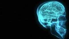 Abstract brain X-ray artwork