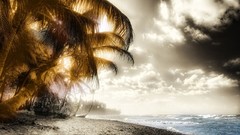 Abstract cars Beaches