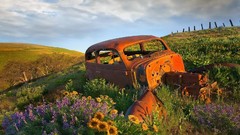 Abstract clouds Landscapes artwork