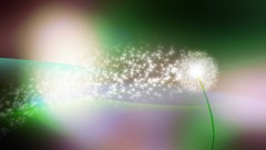 Abstract dandelions multicolor