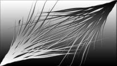 Abstract digital art