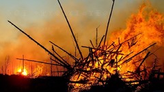 Abstract digital art