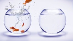 Abstract digital art