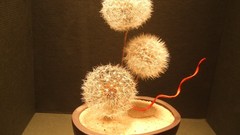 Abstract digital art fantasy art