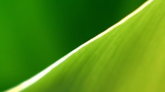 Abstract digital art fantasy art