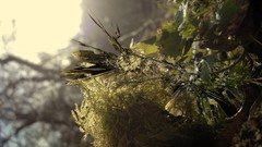 Abstract digital art fantasy art