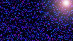 Abstract dots multicolor