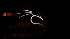 Abstract Dragons Linux artwork BackTrack