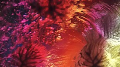 Abstract drawings artwork