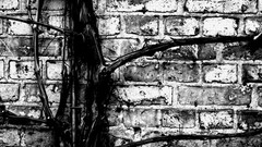 Abstract drawings artwork