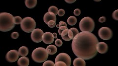 Abstract dual screen