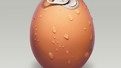 Abstract eggs wet funny can WTF grey background