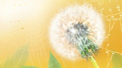 Abstract fantasy art