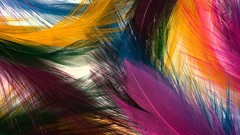 Abstract feathers artwork