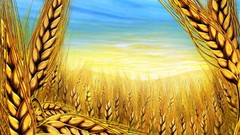 Abstract fields cereal