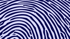 Abstract fingerprints