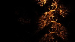 Abstract fire shapes digital