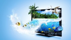 Abstract fish Technology Monitor Beaches creativity seagulls