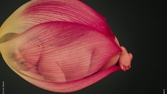 Abstract Flowers baby sleeping