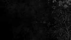 Abstract Flowers backgrounds