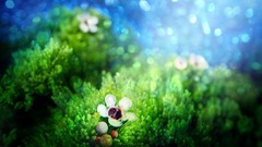 Abstract Flowers macro depth