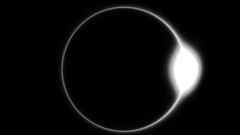 Abstract Fractals eclipse monochrome