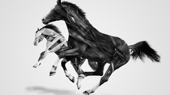 Abstract Horses justin maller