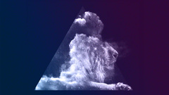 Abstract illustrations Lions vector