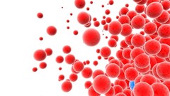 Abstract Landscapes nature