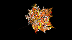 Abstract leaf black dark