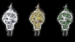 Abstract light bulbs black
