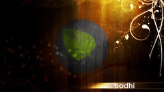 Abstract Linux Bodhi Linux