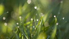 Abstract little sparkles