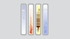 Abstract lost elements of