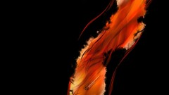 Abstract minimalistic