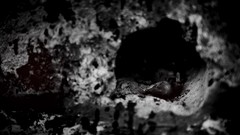 Abstract monochrome scary