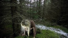 Abstract moss digital art