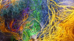 Abstract multicolor artwork digital art