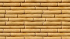 Abstract multicolor bamboo Textures