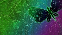 Abstract multicolor Butterflies