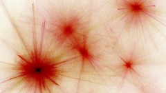 Abstract multicolor explosions