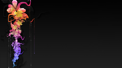 Abstract multicolor Flowers floral