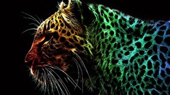 Abstract multicolor jaguars manipulation