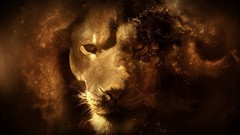 Abstract multicolor Lions faces