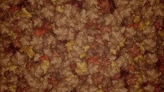 Abstract multicolor Textures