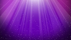 Abstract multicolor Violet dots