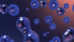 Abstract multiscreen cells