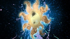 Abstract My Little Pony: Friendship is Magic Princess Celestia